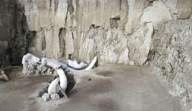 2-the-return-of-Mammoth