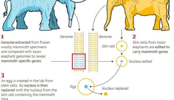3-the-return-of-Mammoth