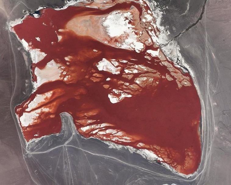 Laguna Colorada στη Βολιβία